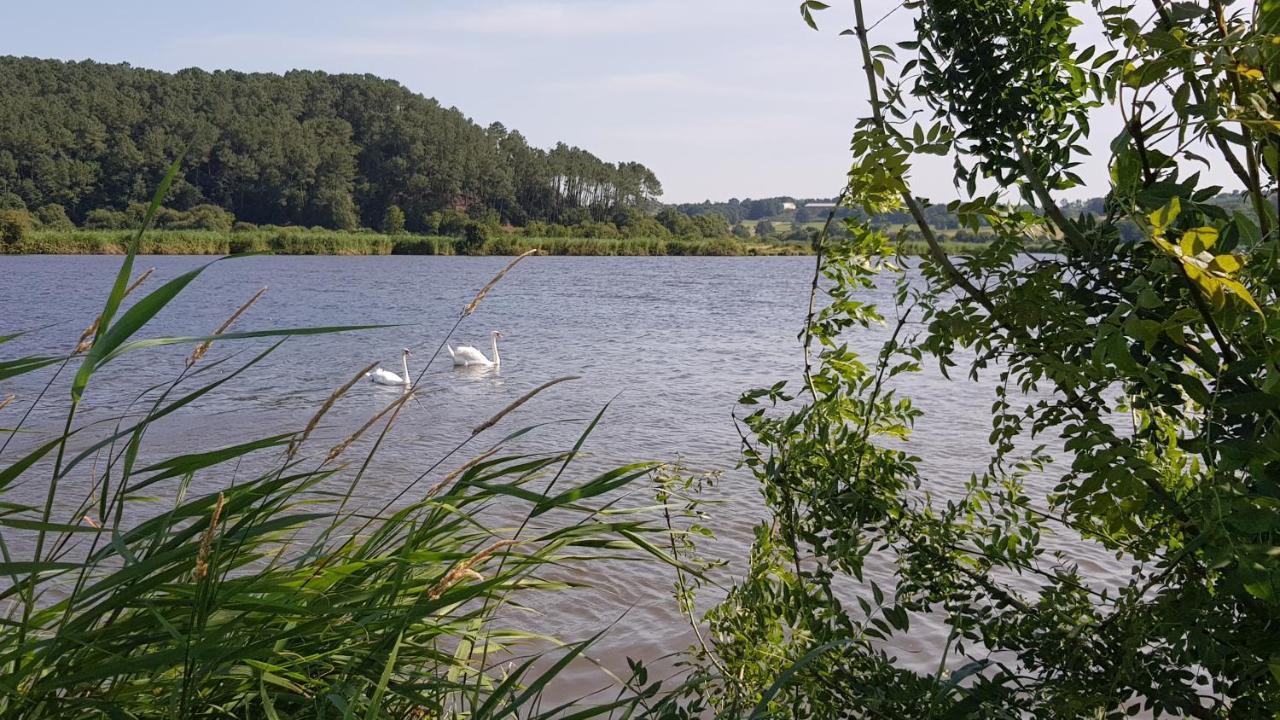 Belle Visnonia Meuble De Caractere Sud Morbihan Béganne Zewnętrze zdjęcie